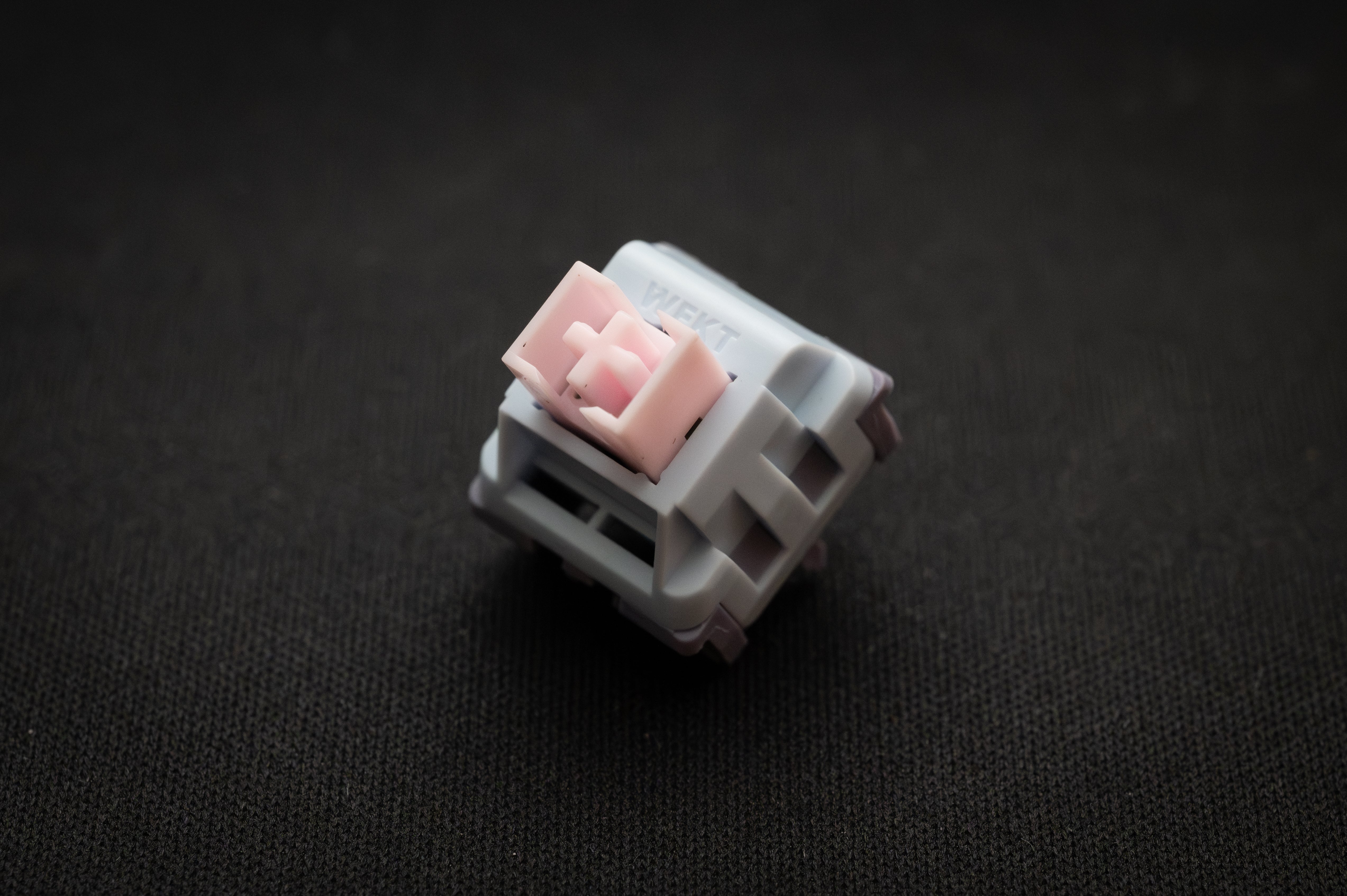 Gentle Lucy V5 Switch